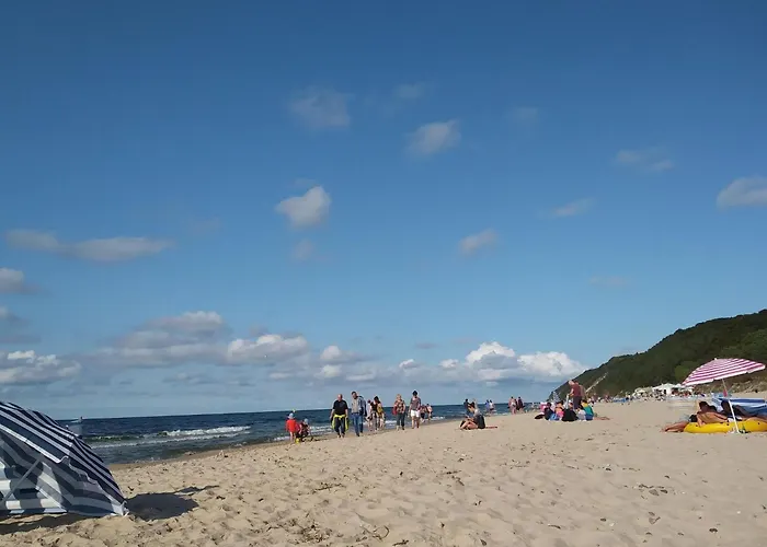 In Near Baltic Sea &